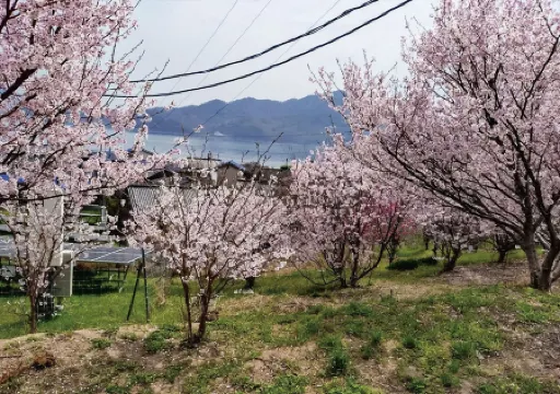 Setouchi Hitotsuru Hanare