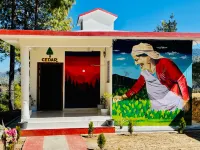 The Golden Leaves Cafe And Cottages Hotel di Champawat