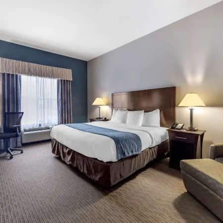 Comfort Inn & Suites Oklahoma City West - I-40