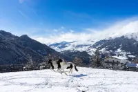 Apartment in Kaunerberg Near Ski Resort