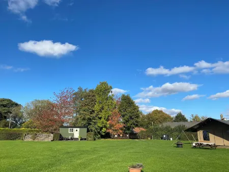 Dawn Chorus Holidays