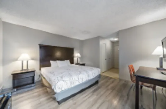 로열 파고다 모텔