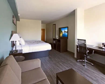 スリープ イン & スイーツ フォーリー - ガルフショアーズ ノース フォーリーのホテル