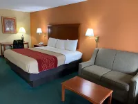 Coachman's Inn Motel Hotels in 