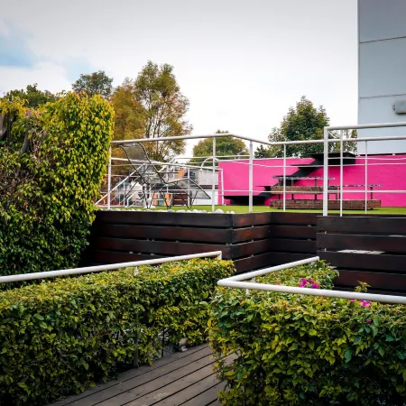 Hostal Cuija Coyoacan Berlin 268 Coyoacan