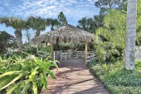 디즈니 지역 지상층 무료 주차장