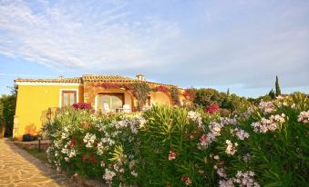 Villa Maestrale Con Piscina