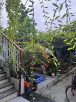 Đường Lâm Village Homestay Các khách sạn ở Vĩnh Thịnh