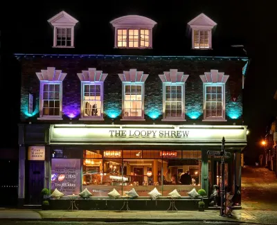 The Loopy Shrew Hotels in 