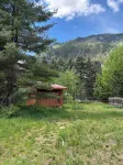 Heated Pool, Hot Tub, Fenced Acre for Dogs, Views, EV Charger