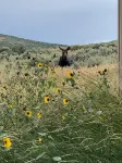 Butch’s HideOut - A Cozy Retreat For Two