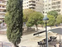 Hostal Albero by gaiarooms