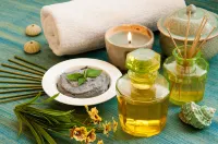 Rohet Garh - spa