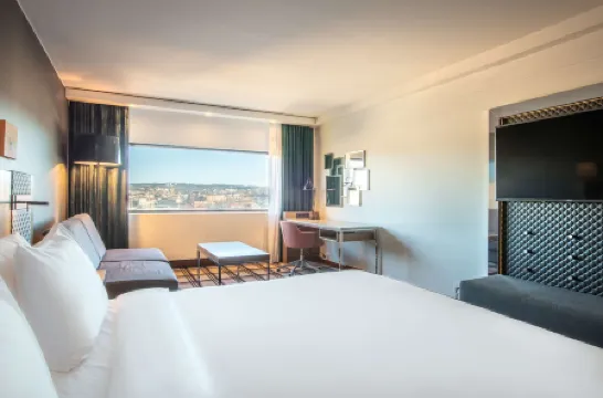 麗笙藍標酒店-奧斯陸斯堪的納維亞