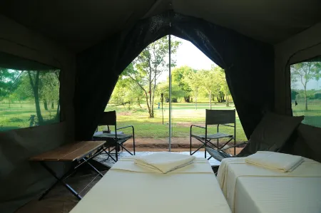 Big Game - Yala By Eco Team