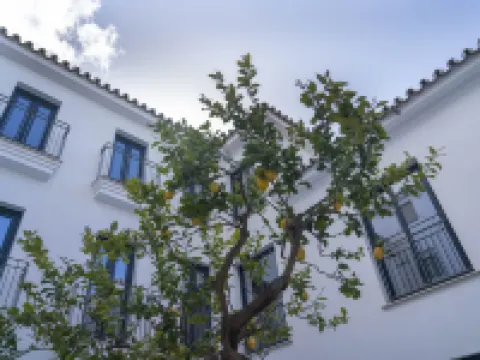 Opuntia Hotel Boutique Hotels in Mijas
