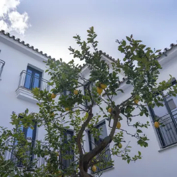 Opuntia Hotel Boutique