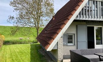 Joke am Deich 6 Pers House with Equipped Terrace Behind a Dike at Lauwersmeer