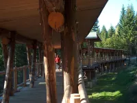Wildnisresidenz am Nationalpark - FeWo Mediterran Hotels in Lindberg