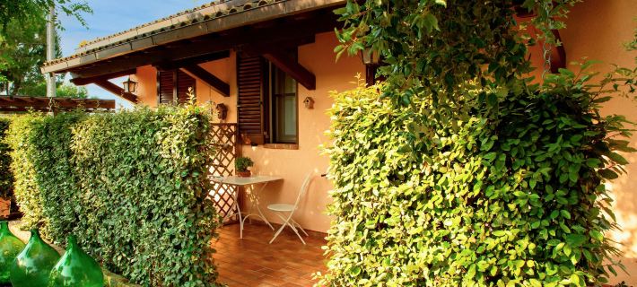 Agriturismo Al Vermigliano Hotels in Grosseto
