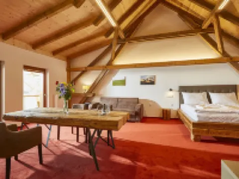 Hotel Ryzlink Hotels in Mikulov