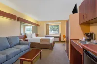 Microtel Inn & Suites by Wyndham Kannapolis/Concord