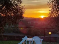 Agriturismo Podere Verdicchio Hotels in Scansano