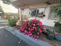 Morgan Hill Inn Hotels in Morgan Hill