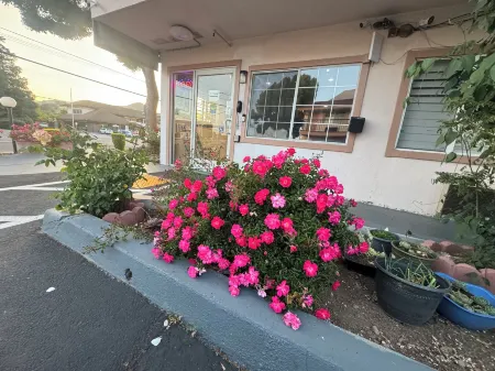 Morgan Hill Inn Отели в г. Морган Хилл