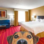 TownePlace Suites El Paso Airport Hotel dekat Pangkalan Udara Biggs Army