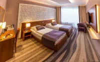 Avanti Hotel Hôtels à : Brno