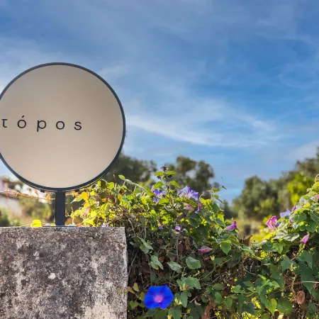 Topos Suites