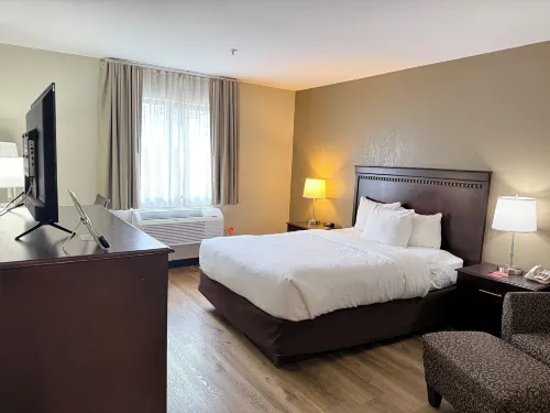Econo Lodge Inn & Suites Monroe - piscine