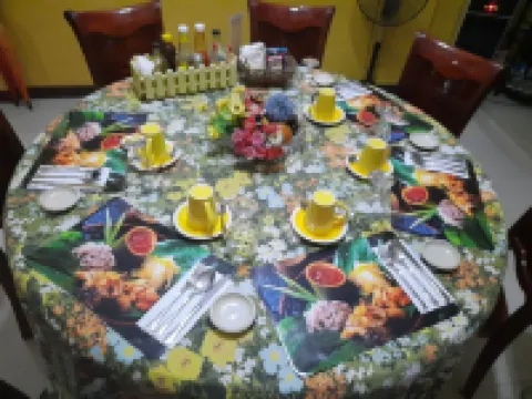 Carribean Transient House