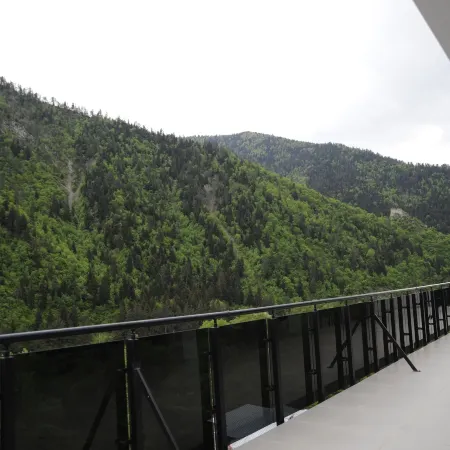 Borjomi Likani Health & Spa Centre