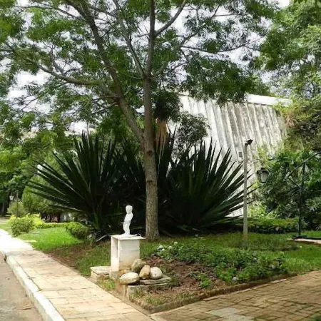 Vila Chale
