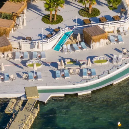 Cocos the Club Solto