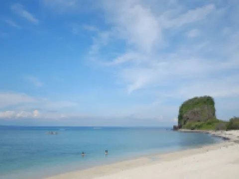 Eagle Point Beach and Dive Resort Hotels in Mabini