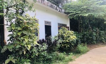Thaaru Guest