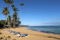 Albachiara Hotel - Las Terrenas - Sea View
