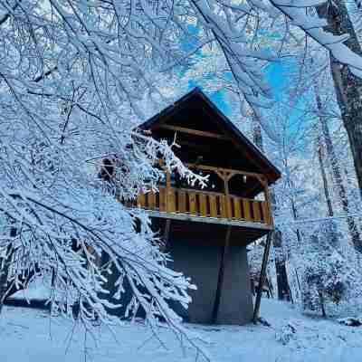 Blessed Nest 1 Bedroom Cabin by RedAwning Hotel Exterior
