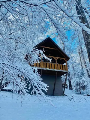 Blessed Nest 1 Bedroom Cabin by RedAwning Hotels in Townsend