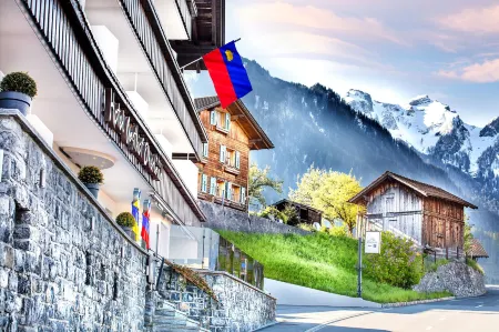 Hotel Oberland Отели рядом с достопримечательностью «Liechtenstein Center»
