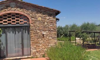 Fattoria Casa Sola