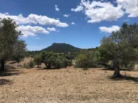 Wonderful and quiet Mallorcan finca in an incomparable setting