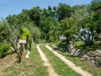 Nonna Gemma - Farmhouses