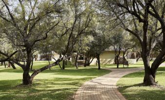 Letamo at Qwabi Private Game Reserve by Newmark