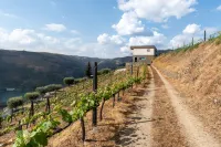 Feel Discovery Alvim's Douro -  Holiday Villas