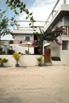Bibee Surf