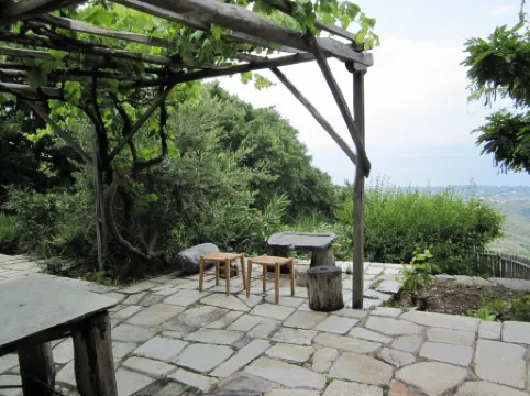 Agios Lavrendis Village: House with character